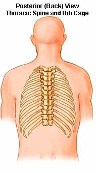 DRX9000 Greensboro, North Carolina (NC) Salama Chiropractic Center